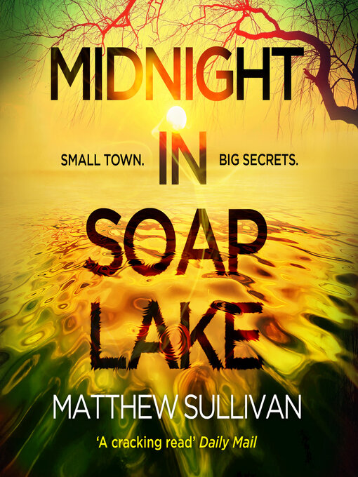 Cover image for Midnight in Soap Lake
